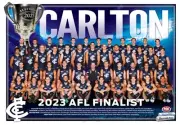 Carlton blues AFL FOOTBALL champion team player Poster, Bargain,2