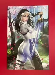 Fairy Tale Team-Up ROBYN HOOD & VAN HELSING (NM) JOSH BURN Diamond BRONZE LE 400