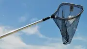 Joy Fish Landing Net 20" X 20" Hoop 6.5'-18' Handle Telescoping Black