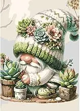 SHICERNHJ Gnome Paint by Numbers for Adults- Succulent Plant Paint by Numbers for Adults Beginners,Easy Canvas Paint by Numbers for Adults for Home Wall Decor 16 X 20Inch