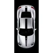 Custom Full Triple Stripe Hood, Roof, Rear Decals for Porsche Cayman 2005-2014