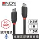 LINDY林帝 TYPE-C高速充電線 PD60W充電傳輸線 USB 3.2 GEN 2X2 TYPE-C 公 TO 公