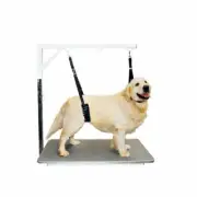 Show Tech Comfort Belly Strap for Big Dog Dog Pet Grooming