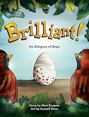 Brilliant!: An Allegory of Hope (About Adoption & Fostering) with behind-the-scenes pictorial guide