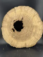 Rustic Round Cut Live Edge Hickory Epoxy Project Wood Slab #105