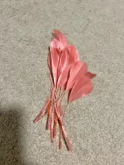 Dusty Pink Stripped Goose Nagoire Feathers, 30 Feathers.