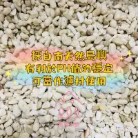 在飛比找蝦皮購物優惠-魚苓水族【菲律賓】 精選珊瑚過濾底石 1kg珊瑚石 海水缸 