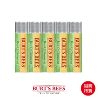 在飛比找momo購物網優惠-【BURT’S BEES】神奇草本修護棒4.25g 5入(蜜