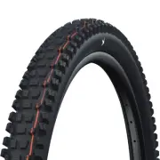 Schwalbe Albert Gravity Pro Soft 29x2.50 TL Radial Tyre