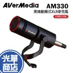 【現實免運】AVERMEDIA 圓剛 AM330 黑鳩 動圈式 XLR麥克風 中音域加強 環境噪音降低 高品質錄音使用