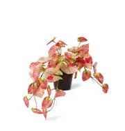 E Style 40cm Anthurium Artificial Potted Hanging Plant Faux Fake Decor Pink