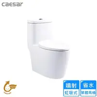 在飛比找momo購物網優惠-【CAESAR 凱撒衛浴】省水單體馬桶/管距30(C1364