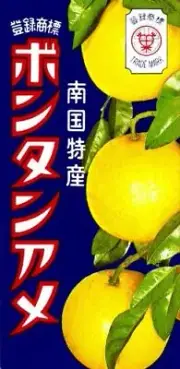 Seika food Botan Rice Candy 14 grain X10 boxes From Japan
