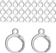 BEADNOVA Stainless Steel Leverback Earring Hooks 100pcs French Ear Wire Lever Back Earwire for Jewelry Making Crafting