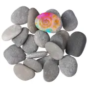 20 Pcs Painting Stone Drawing Stones Pouring Rocks Child for Pebbles
