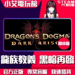【小艾電玩館】STEAM 龍族教義：黑暗再臨 DRAGON'S DOGMA：DARK ARISEN （PC數位版）離線版
