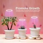 Timed Plant Growth Light Grow Lamp LED Plant Grow Light Full Spectrum Plants.