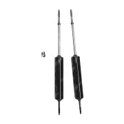 2 x Front Gabriel Classic Shocks for Ford Fairlane Sunliner Torino Thunderbird