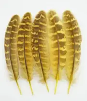 50pcs Yellow Natural Pheasant Feathers 12-15cm DIY Craft Millinery Smudge Fan