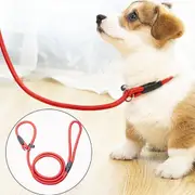 Red Slip Puppy Lead Nylon Rope Dog Training Correction Leash Pet 10mm