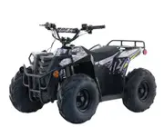 Apollo RFZ Commander 1000W Electric Quad Bike - Black