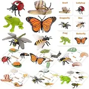 Montessori Life Cycle Animal Figures Toy with Flash Cards, Realistic Animal Figurines, Montessori Materials Homeschool Preschool Educationl Matching Game for 3+ Year Old Toddlers Kids (Insect)