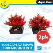 Aqua One Ecoscape Foreground Catspaw 2pk Red (28296)