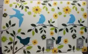 Set of 2 Square Kitchen Vinyl w/Foam Back Placemats (15"x15") BIRDS & FLOWERS,GC