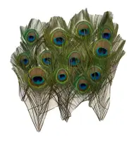 12 PACK Peacock Tail Feathers Natural For Bouquet DIY Decoration 7-8 inch