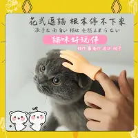 在飛比找momo購物網優惠-【DR.Story】寵物用品寵愛必備安撫貓咪小手套(貓玩具 