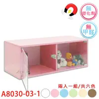 在飛比找ETMall東森購物網優惠-【正陞/南亞塑鋼家具】DIY組合櫃【A8030-03-1雙開