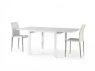Extendable Table Rectangular White Ash Modern Design Studio