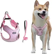 Dog Harness Breathable Vest, Step-in Puppy Harness and Lead Sets, Adjustable Reflective Anti Pull Soft Mesh Padded Dog Harness for Small Medium Dogs Training or Walking(Pink,M)