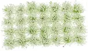 Anneome 28pcs Miniature Simulation Plants Realistic Artificial Tree Models for Sand Table Adornment Micro Garden Decor Educational for Imagination Development and Landscape DIY