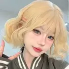 Brown Short Wavy Wigs Heat Resistant Fiber Synthetic Wigs with Bangs Lolita