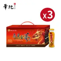 在飛比找ETMall東森購物網優惠-【龍年限定】華陀扶元堂 蟲草全蔘飲3盒(5瓶/盒;140g/