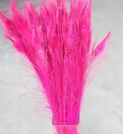 Dyed and bleached Peacock Eye Feathers 40-45 inch 12 Pieces - Hot Pink (GA, USA)