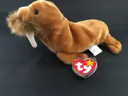 PAUL the Walrus - Ty Beanie Baby with Tag Error / Oddity