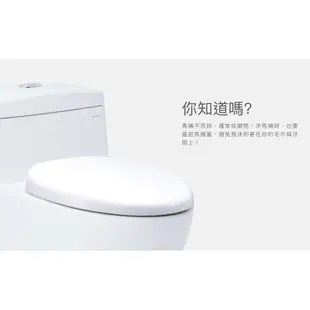 CAESAR 凱撒 二段式省水馬桶CF1340/CF1440 金級省水、SIAA抗菌便座、時尚簡約 不含安裝