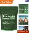 NAD+ Supplement with Nicotinamide Riboside,NAD Nicotinamide Riboside Resverat...