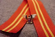 SLOVAKIA WWII RIBBON BAR DEVICE & 25mm RIBBON - VICTORY MEDAL