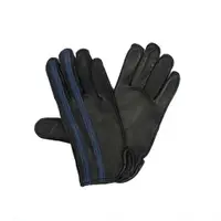 在飛比找蝦皮購物優惠-Sullivan Gloves Speedway (Blue