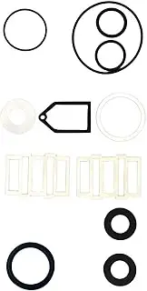 [WFCYQ] Replacement Ultimate Seal Kit Water Pump Seal Rebuild Kit Compatible with Coleman SaluSpa Lay-Z-spa，fits most AirJet models