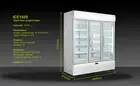 IGLOO 3 DOOR 1150L COMMERCIAL UPRIGHT DISPLAY FRIDGE LED LIGHT FREE PICK UP