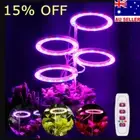 LED Angel Ring Grow Light USB Phytolamp For Plants Led Full Spectrum Timing Lamp