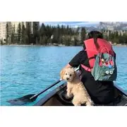 Save 25.00%! Shared Shuttle Day Trip to Banff Lake Louise & Moraine