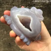 Money Toad Frog Jin Chan Chalcedony Agate Geode Mouth Crystal 372g