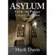 Asylum: Inside the Pauper Lunatic Asylums