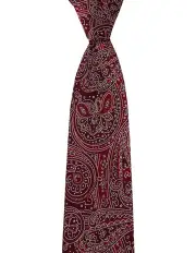 [Dom Bagnato] Giaggiolo Paisley Silk Tie in Red