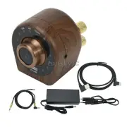 Bluetooth Digital Power Amplifier Wood Grain HiFi 100W Class D Home Audio Amp ts